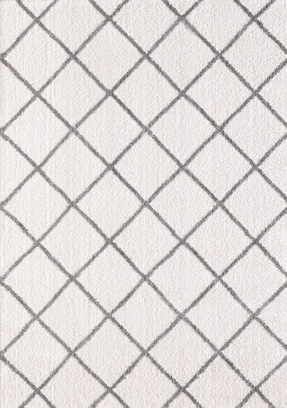 Dynamic Rugs SILKY SHAG 5920-110 Ivory and Silver
